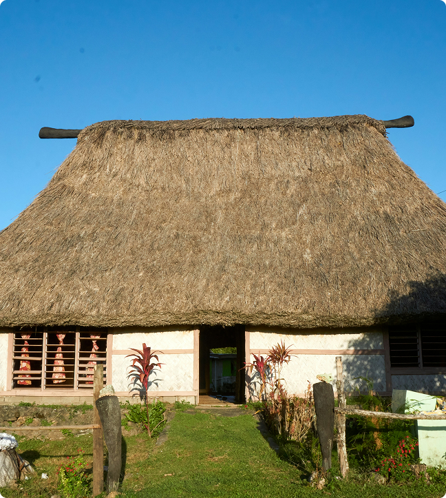 Traditional house